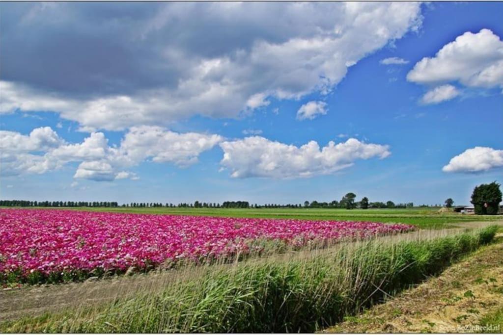 -Nieuw- Luxe & Sfeervol Vakantiehuis ทอเลิน ภายนอก รูปภาพ