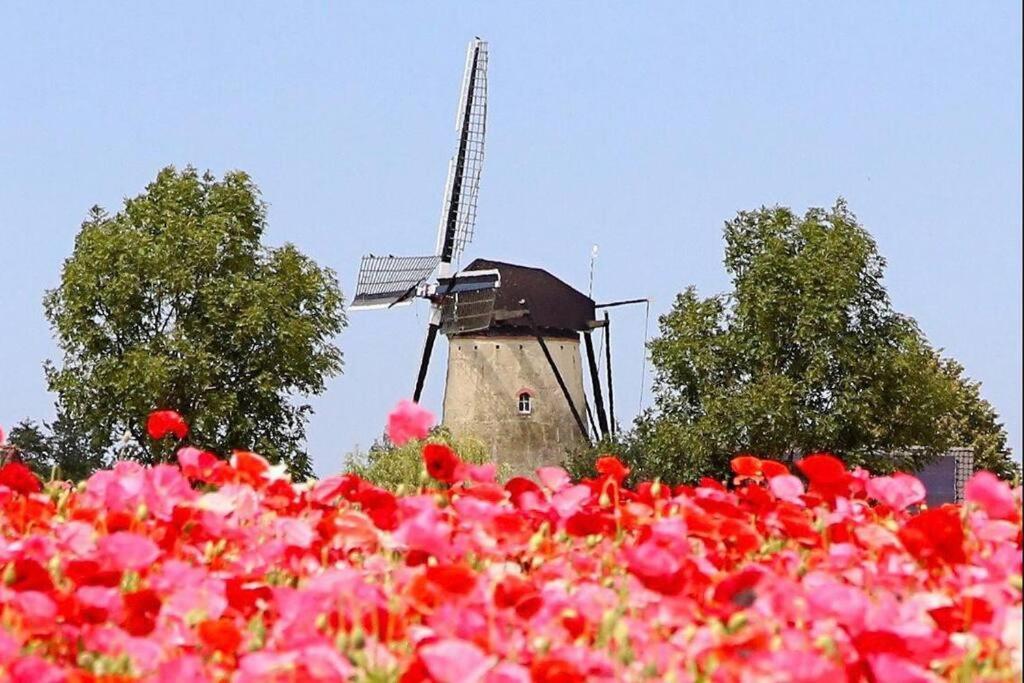 -Nieuw- Luxe & Sfeervol Vakantiehuis ทอเลิน ภายนอก รูปภาพ